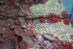 Killikus&reg; Fotographie